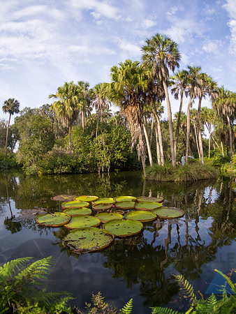 Orlando
