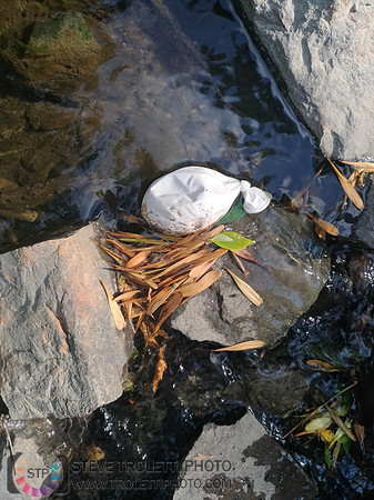 Déchets, peinture, poudre colorer, ballons, et plus dans le parc de Brouage, Boucherville suivent une activité de camp de jour le 2018-08-07
