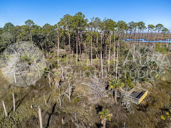 Dutton Island Preserve East Deck 1