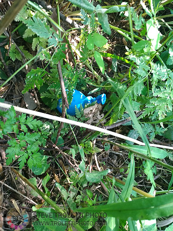 Déchets, peinture, poudre colorer, ballons, et plus dans le parc de Brouage, Boucherville suivent une activité de camp de jour le 2018-08-07