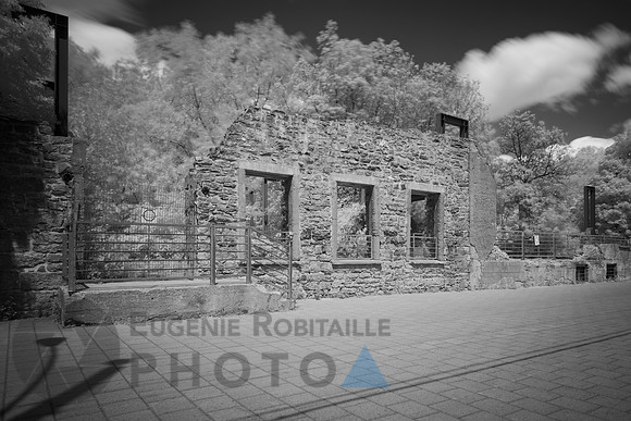 Parc-nature-de-l’Île-de-la-Visitation