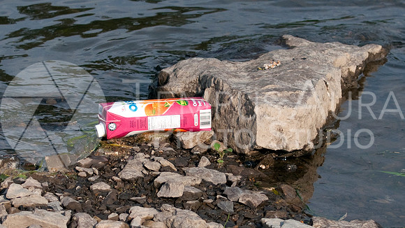 Déchets - Parc Nature Île-de-la-Visitation Nature Park - Litter
