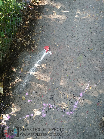 Déchets, peinture, poudre colorer, ballons, et plus dans le parc de Brouage, Boucherville suivent une activité de camp de jour le 2018-08-07