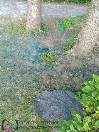 Déchets, peinture, poudre colorer, ballons, et plus dans le parc de Brouage, Boucherville suivent une activité de camp de jour le 2018-08-07