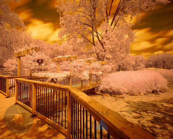 Beautiful Infrared Landscape