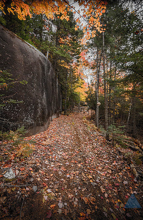 Autumn landscape