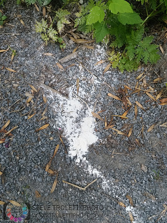 Déchets, peinture, poudre colorer, ballons, et plus dans le parc de Brouage, Boucherville suivent une activité de camp de jour le 2018-08-07