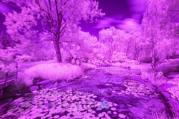 Beautiful Infrared Landscape