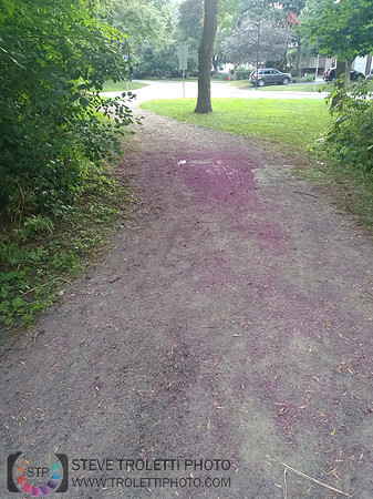 Déchets, peinture, poudre colorer, ballons, et plus dans le parc de Brouage, Boucherville suivent une activité de camp de jour le 2018-08-07