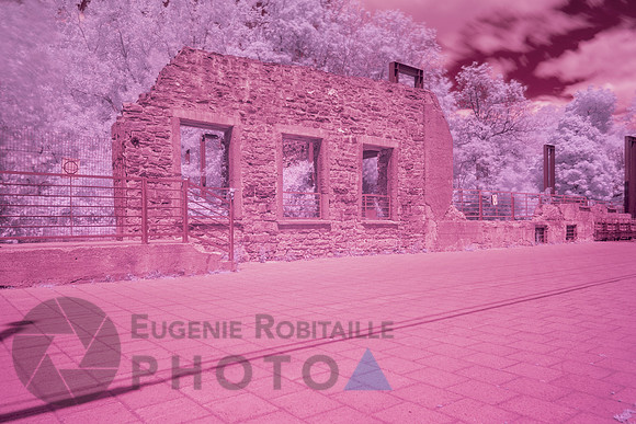 Parc-nature-de-l’Île-de-la-Visitation
