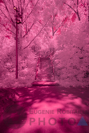 Parc Frédéric Back, Montréal, Québec, Canada