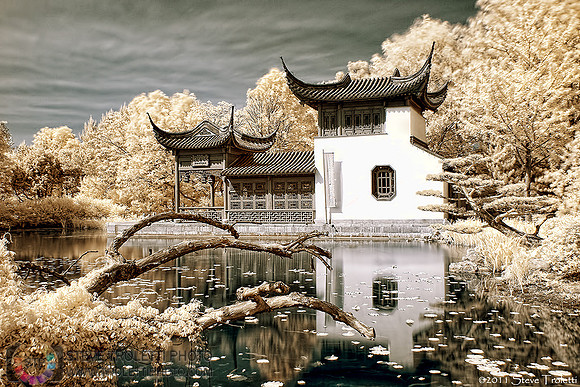 The Gift Shop at the Chinese Garden - IR