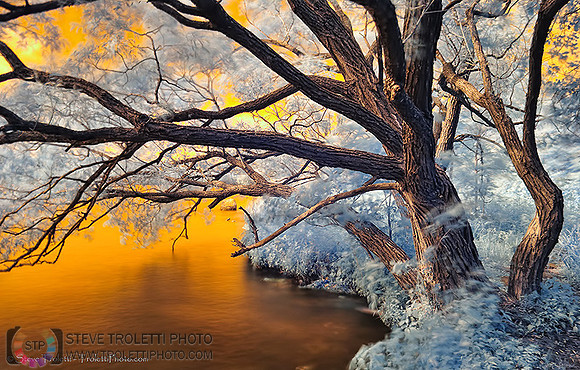 Ile de la Visitation Nature Park - Infrared