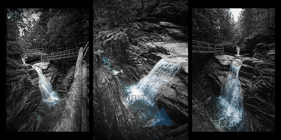 Tryptic