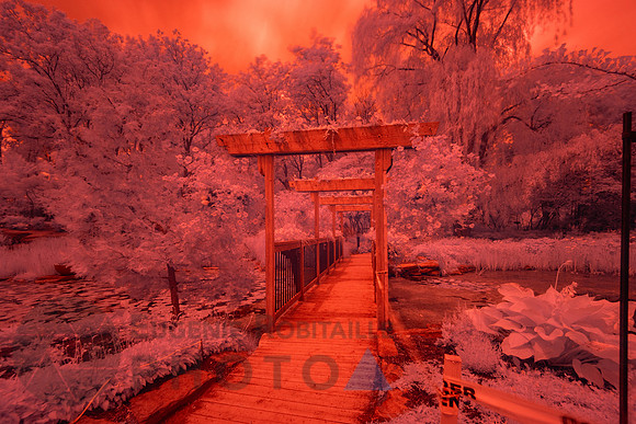 Beautiful Infrared Landscape
