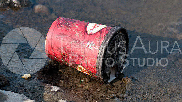 Litter / Déchets Tim Hortons - Coffee Cup / Tasse de café - DSC-6542