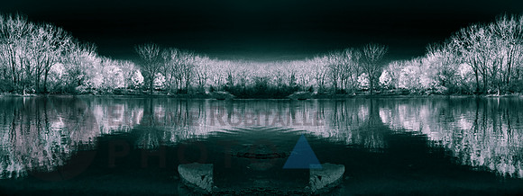 Reflection