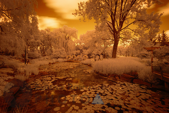 Beautiful Infrared Landscape