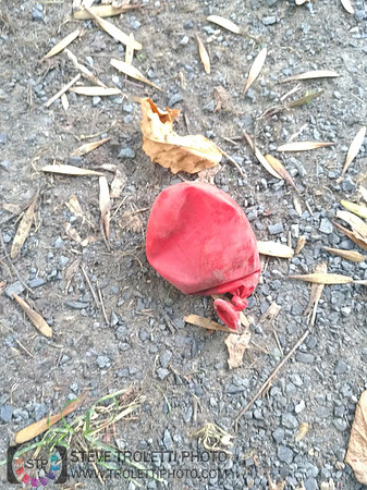 Déchets, peinture, poudre colorer, ballons, et plus dans le parc de Brouage, Boucherville suivent une activité de camp de jour le 2018-08-07