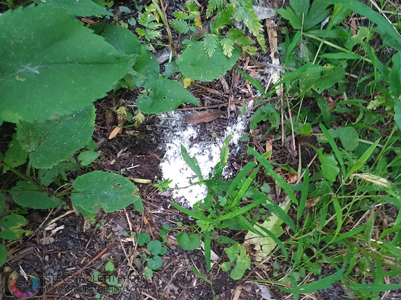 Déchets, peinture, poudre colorer, ballons, et plus dans le parc de Brouage, Boucherville suivent une activité de camp de jour le 2018-08-07