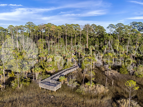 Dutton Island Preserve West Deck 1