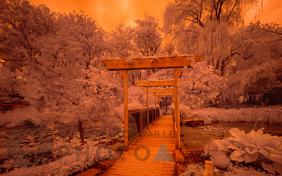 Beautiful Infrared Landscape