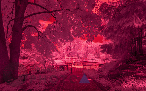 Beautiful Infrared Landscape