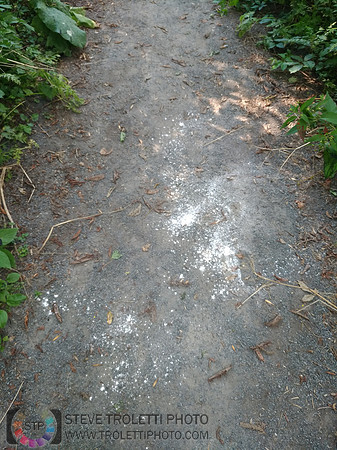 Déchets, peinture, poudre colorer, ballons, et plus dans le parc de Brouage, Boucherville suivent une activité de camp de jour le 2018-08-07