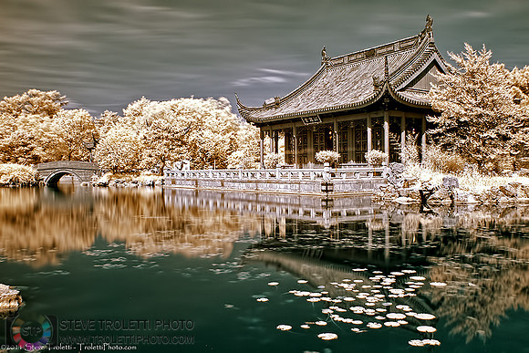 Chinese Garden - Infrared / Jardin de Chine - Infrarouge