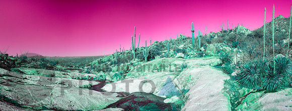 Desert landscape
