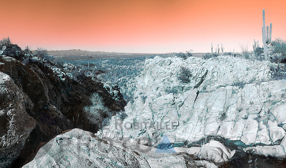 Desert landscape