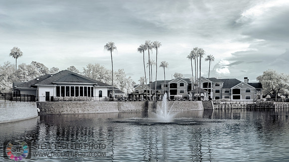 Belleza at Ponte Vedra Clubhouse - End of Day IR
