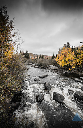 Autumn landscape