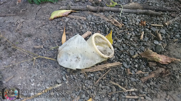 Condom - Parc de Brouage - Boucherville 2018-08-07
