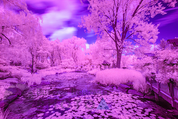 Beautiful Infrared Landscape