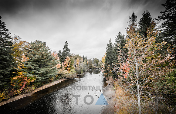 Autumn landscape