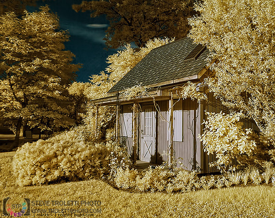 The Gardner's Shed - Infrared