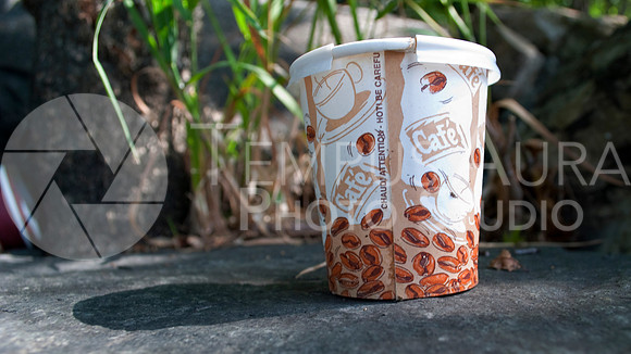 Paper Coffee Cup - Tasse de café - Parc Nature Île-de-la-Visitation Nature Park - Litter - Déchets