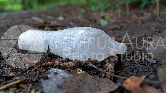 Déchets - Parc Nature Île-de-la-Visitation Nature Park - Litter