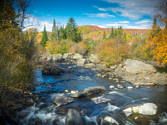 Autumn landscape