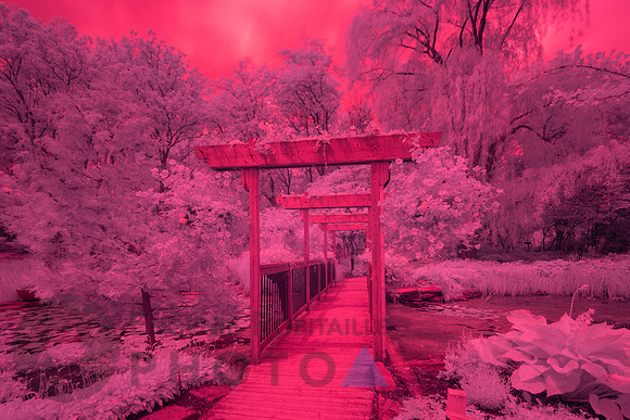 Beautiful Infrared Landscape