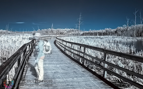 The Ghost of the Ile Bizard Passerelle - Infrared