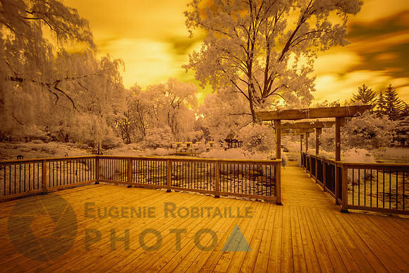 Beautiful Infrared Landscape