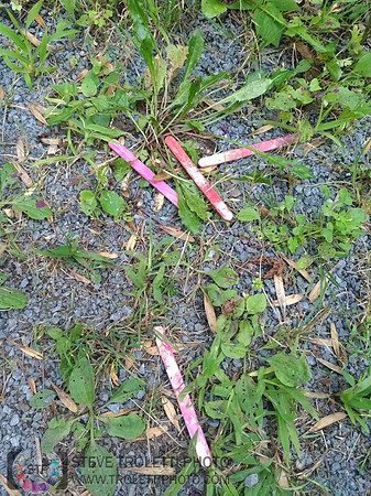 Déchets, peinture, poudre colorer, ballons, et plus dans le parc de Brouage, Boucherville suivent une activité de camp de jour le 2018-08-07