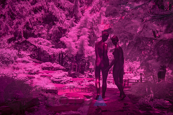 Beautiful Infrared Landscape