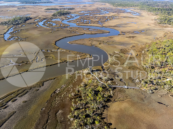 Aerial Picture of Observation Tower at Guana River WMA
