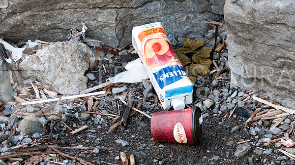 Déchets - Parc Nature Île-de-la-Visitation Nature Park - Litter