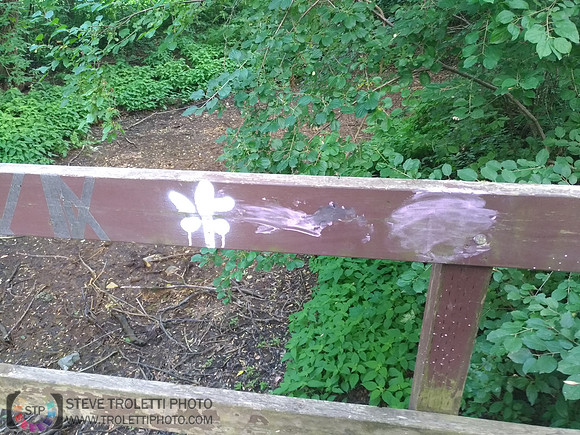 Déchets, peinture, poudre colorer, ballons, et plus dans le parc de Brouage, Boucherville suivent une activité de camp de jour le 2018-08-07