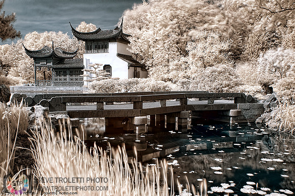 Chinese Garden - Infrared  / Jardin de Chine - Infrarouge