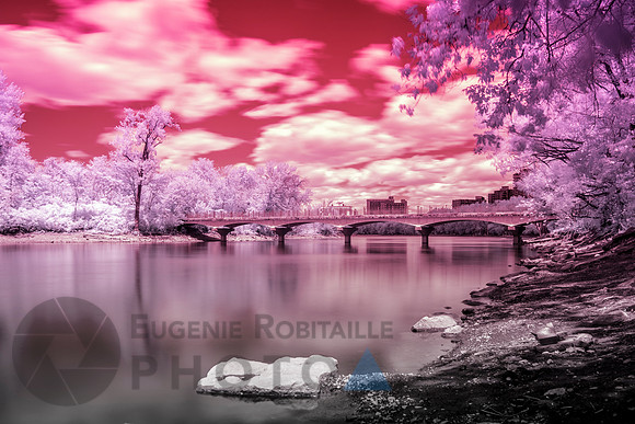 Parc-nature-de-l’Île-de-la-Visitation